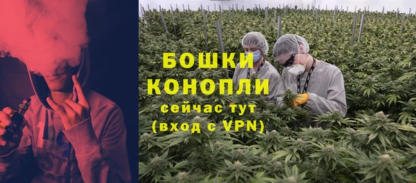 ГАЛЛЮЦИНОГЕННЫЕ ГРИБЫ Краснослободск