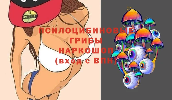 MESCALINE Няндома