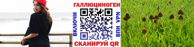 Галлюциногенные грибы мицелий наркотики Похвистнево